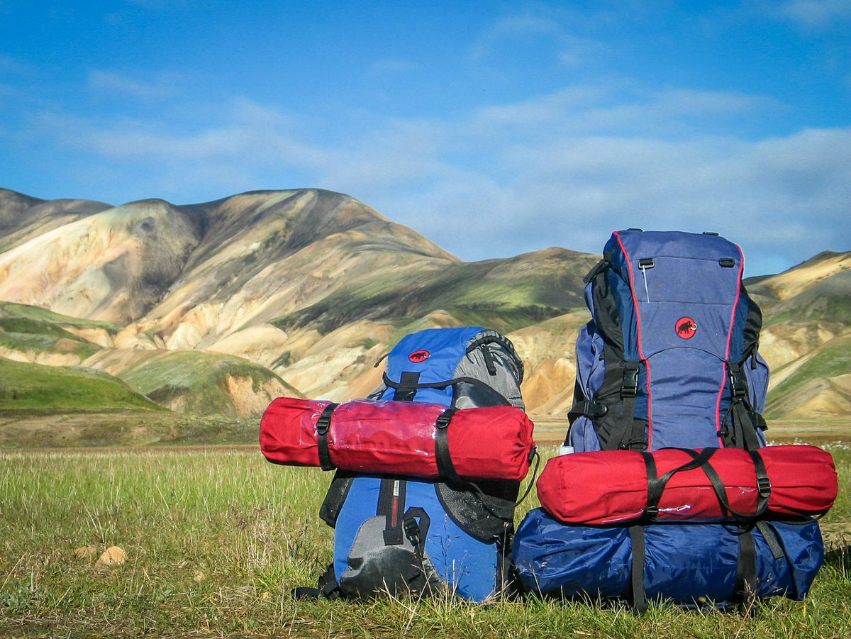 Travel packs on grass with mountains behind