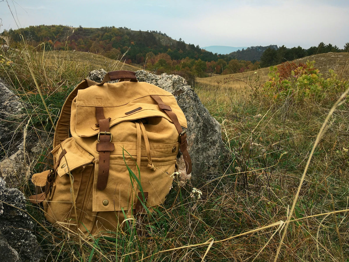 Brown backpack on a green grass field